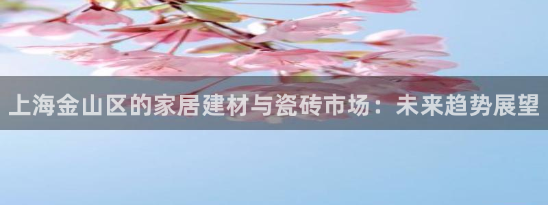 杏鑫平台代理注册流程及费用