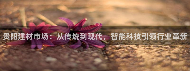 杏鑫手机客户端怎么下载