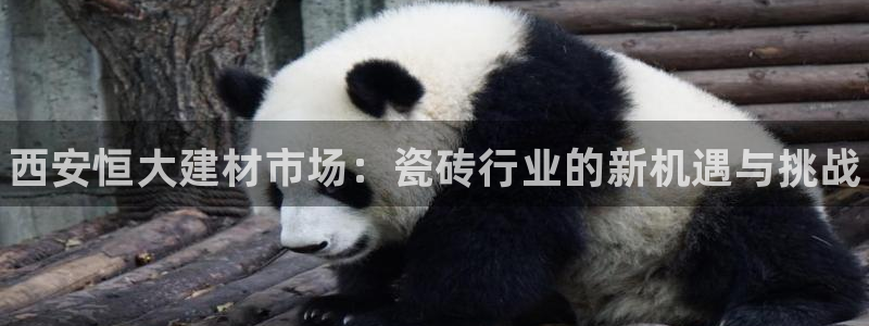 杏鑫有亏损返点吗