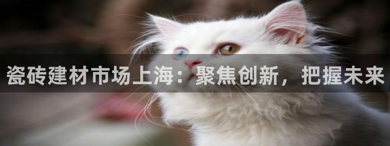 杏鑫平台代理注册多少钱啊