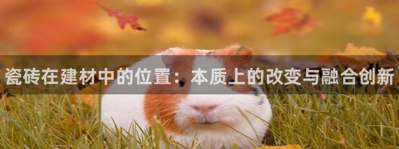 杏鑫平台怎么样黑钱吗是真的吗