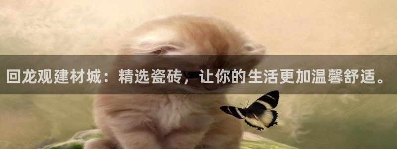 杏鑫平台平台娱乐怎么样