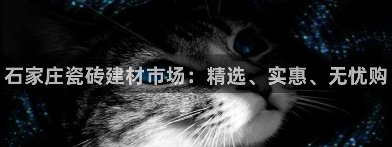 杏鑫娱乐平台测速怎么样