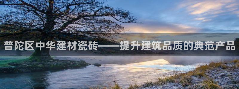 杏鑫代理注册资金多少