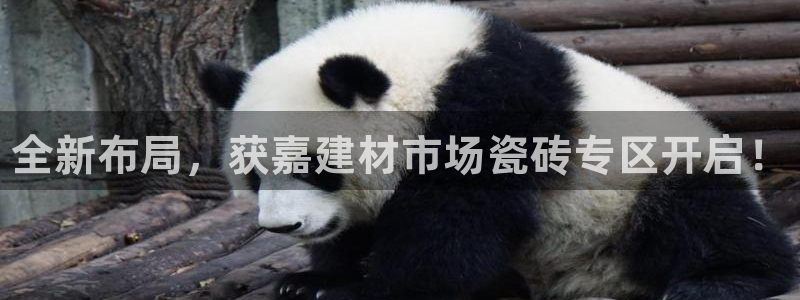 杏鑫注册登录地址